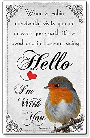 Robin Sympathy Loved One In Heaven Small Plastic Fridge Magnet