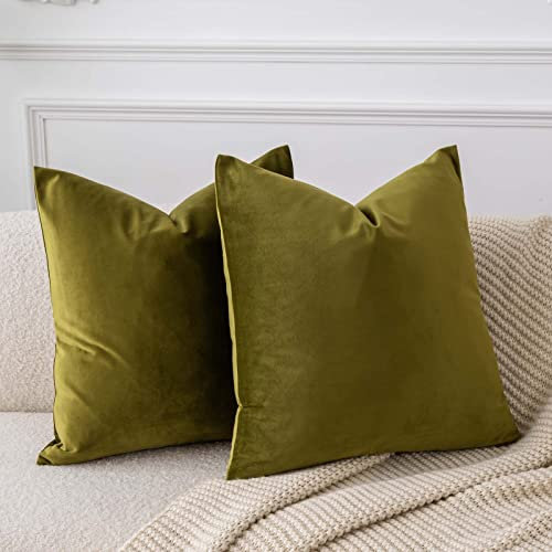 JUSPURBET Olivgrün Samt-Kissenbezüge 65cmx65cm 2er-Set für Wohnzimmer Couch Sofa Schlafzimmer Dekorative Quadratische Feste Weiche Kissenhüllen mit unsichtbarem Reißverschluss