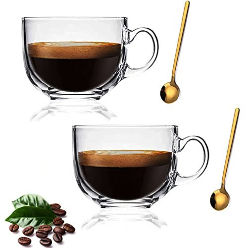 YAMSH 2 tazas de café grandes de cristal transparente, 470 ml/16 onzas de boca ancha tazas con mango y cuchara, vaso transparente para el desayuno, leche, bebidas, avena, bebidas frías/calientes
