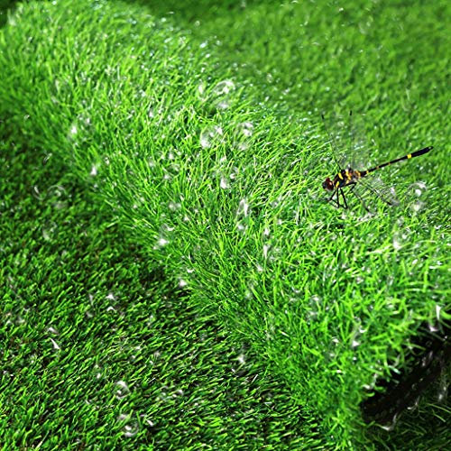 Kunstrasen, Drainagelöcher Pet Faux Gras Teppich Teppich for Garten Hinterhof-Patio 2cm dick (Size : 79x118in)