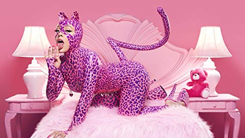 Target Store Doja Cat Rapper Poster, 30,5 x 45,7 cm, Hot Pink