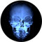 X Ray Skull DJ Slipmat vinilo tocadiscos Técnicas
