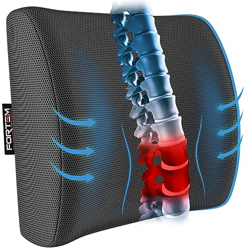 FORTEM Lumbar Support Cushion, Back Support For Office Chair and Car Seat, Back Rest for Gaming Chair, Memory Foam Pillow, Desk Chair Cushion, Breathable & Washable Cover, Adjustable Straps