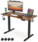 Mondeer Elektrischer Stehpult, Spanplatte und Stahl, rustikales Braun, 120 x 60 x 72-114 cm