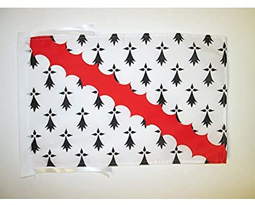 AZ FLAG Bro Gwened Flag 45x30 cm 100D Polyester Cords
