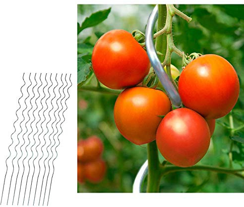 Lot de 10 tuteurs de tomates en spirale de 110 cm en acier galvanisé pour plantes grimpantes