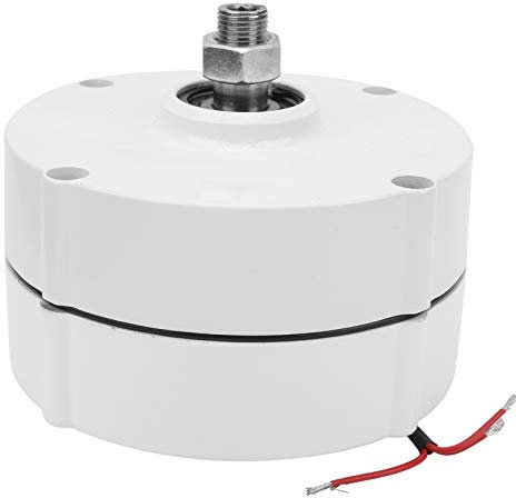 Fafeicy Generatore a magneti permanenti AVAN-100w, alternatore Elettrico trifase NdFeB a Terre Rare, 100w 750r/m, Classe di Isolamento F(12V), Dinamo