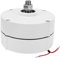 Fafeicy Generatore a magneti permanenti AVAN-100w, alternatore Elettrico trifase NdFeB a Terre Rare, 100w 750r/m, Classe di Isolamento F(12V), Dinamo