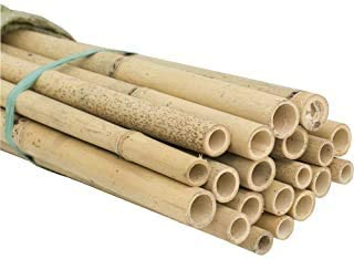 Bricomed Lot de 5 tuteurs en bambou thaïlandais pour plantes 180 cm