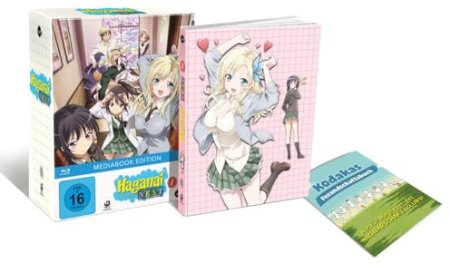 Haganai Next (Volume 1)