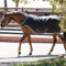 Horseware Amigo Walker BLACK (S)
