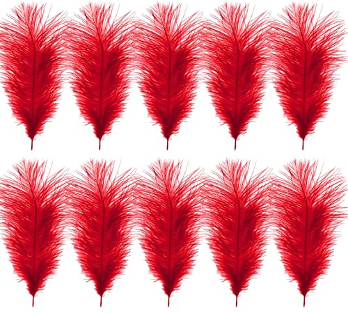 WedDecor 35cm Red Ostrich Feathers for Wedding Decoration – Real Feather Supplies for Crafts, DIY Headdresses, Dressmaking, Table Centrepieces & Fashion Accessories, 10pcs | Craft Feathers for Wedding Centerpieces, Home, Decorating Costumes, Embellishment, Art & Craft, Parties