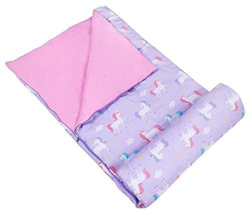 Wildkin Schlafsack für Kleinkind Jungen und Mädchen, Inklusive Kissen und Stuff Sack, perfekte Größe für Schlummer-Partys, Muster koordinieren mit unseren Nap Matten und Brotdosen