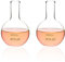 ULAB Scientific Boiling Flask of Flat Bottom Set. Flat Bottom Boiling Flask, Borosilicate 3.3 Glass Material, 2pcs of 500ml, UBF1010