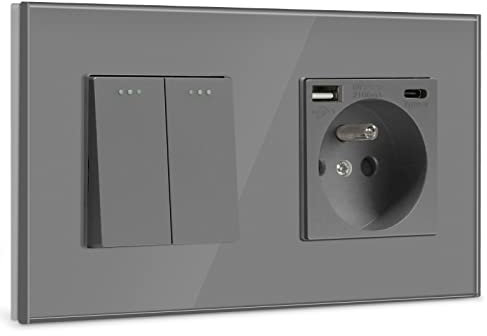 BSEED Interrupteur avec Prise Murale USB et 1 Type C Gris,2 Gang 1 Voie Interrupteur d'éclairage pour la salle de bains,Interrupteur à bascule avec panneau en verre,Multiprise Murale avec USB-2.1A