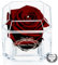 A 100% Real Rose That Lasts Years - Eternal Petals, Handmade in UK – White Gold Solo with A Clear Crystal (Burgundy)