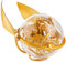Wizarding World Spin Master 6062275 GM, Harry Potter Perplexus Go GML