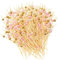 BetterJonny 300Pcs Bambou Bois Cocktail Bâtons, Brochettes Cocktail Bâtonnets Cocktail Bambou Bois Bâton Cocktail Pics Cocktail en Bambou Bâton Decoration Cocktail pour Cocktails Fruits, 3 Couleurs