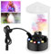 Ultraschall Vernebler: Nebler Ultraschall Vernebler, 12 LED Ultraschall Nebelmaschine, Ultrasonic Fog Maker, Mini Nebelhersteller für Teich, Aquarium,Garten,Halloween Pumpkin und Hexentopf, EU-Stecker