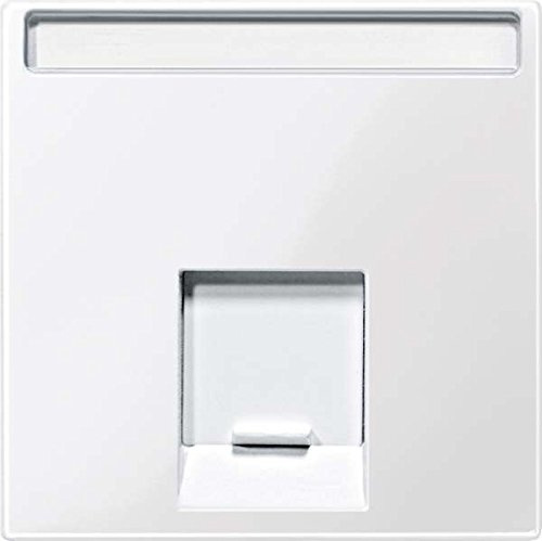 Merten Zentralpl. für Schneider Electric-Connector 1 Fach, System M, polarweiß glänzend, MEG4573-0319