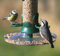 CJ Wildlife Vogelfutterschale für Futtersäulen mit Schraubsystem, Transparent, Kunststoff, Hängend-Halterung, Vogel, Vogelfutterspender, Vogelfutterstelle, 470892031