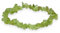 Lebensquelle Plus Peridot Splitterarmband | Handgefertigtes Elastisches Stretch Splitter Armband | Echter natürlicher Edelstein (Peridot)