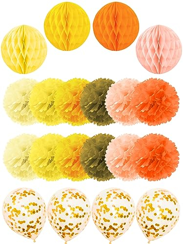 Sinofort Party Deko 20 Stück Pompons Deko Gartenparty Pompoms Dekoration Wabenbälle Partydeko Lampions Hochzeit Für Hochzeit Karneval Baby Party Geburtstag