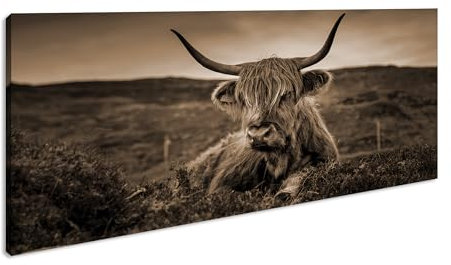 pelziges Rind auf schottischer Landschaft Panorama 120x60 cm Effekt: Sepia als Leinwandbild, Motiv fertig gerahmt auf Echtholzrahmen, Hochwertiger Digitaldruck mit Rahmen