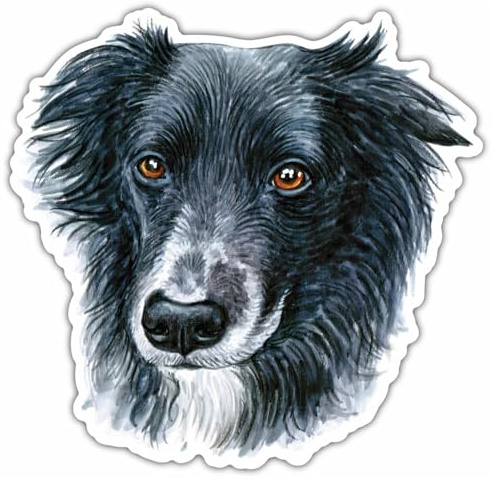 Samunshi® Border Collie Aufkleber Car Decal Sticker für Mofa Fahrrad Roller oder Auto Sticker Fahrrad Mtb Mountainbike Rennrad Hund Dog Dogo 15cm Border Collie