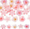OLYCRAFT 20pcs 5 Größen Pfirsich Blumenperlen Caps Floral Spacer Perlen Pfirsich Blütenperlen Kunststoffperle für DIY Schmuck Halskette Armband Ohrringe Handwerk Making 20~23.5mm
