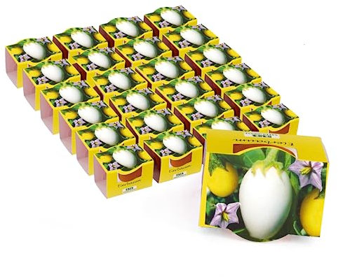 Bull & Bear 25er Set Mini Pflanzset Eierbaum, Samen im Topf 4,5cm, Anzuchtset Mit Pflegeanleitung