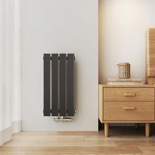 EMKE Radiador Compacto, 600x300 mm, Radiador Vertical, Estrecho y Alto para Baño, Radiador Mural con Panel Plano, Conexión Central, Diseño Elegante, 233 Vatios, Negro