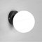 Comely Applique Murale Interieur, Lampe Murale Globe en Verre Givré Étanche, Noir Applique E27 pour Chambre Salon Couloir