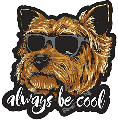 Spaß Kostet Aufkleber Wetterfest Always cool Yorkshire Terrier Westie 12 cm oder 40 cm Dog