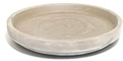 Tranquil Plants Ceramic Terracotta Pot For Bonsai Tree pot | Clay Terracotta Pot Plant Saucer | Ceramic Plant drip trays | Flower Pot tray, 16x2 (TR-001)