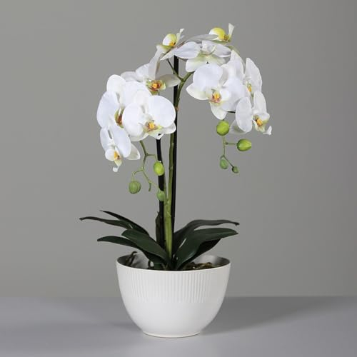 DPI künstliche Orchidee REAL Touch weiß in Keramiktopf H. 48cm Kunstblumen
