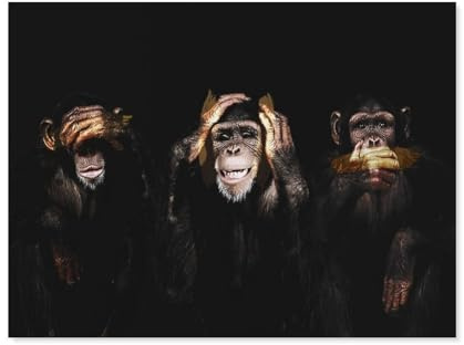 BEAYODKP Trois singes drôles，Peinture par Numéros Adultes et Enfants Débutants Peintures avec Cadre Comprend des Pinceaux et des Peintures Acryliques（50x60cm） 19.6x23.6 pouces-I36