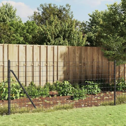 Mokuyary Clôture en Treillis métallique et ancrage Anthracite 1,1x10 m, Clôture de Jardin Extérieure Décorative Barrière Animale pour Chien, Cour, Arrière, Patio, Terrasse