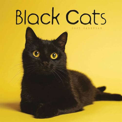 Black Cats – Schwarze Katzen 2025 – Wand-Kalender: Original Carousel-Kalender [Mehrsprachig] [Kalender] (Wall-Kalender)
