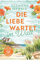 Die Liebe wartet im Watt: Roman | Zurück im Küstenstädtchen Kiekersum | Wunderbarer Strickwohlfühlroman inklusive Anleitungen von SPIEGEL-Bestsellerautorin Susanne Oswald (Küstenzauber, Band 2)