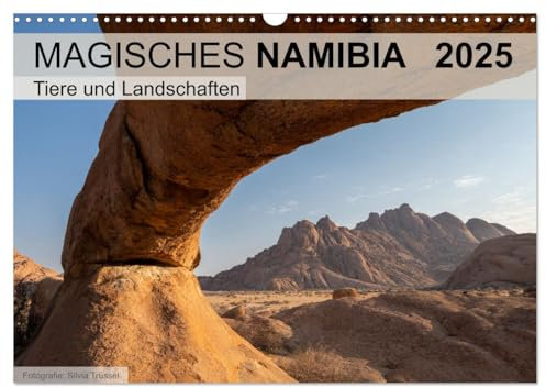 Magisches Namibia - Tiere und Landschaften (Wandkalender 2025 DIN A3 quer), CALVENDO Monatskalender