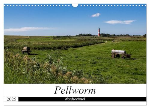 Nordseeinsel Pellworm 2025 (Wandkalender 2025 DIN A3 quer), CALVENDO Monatskalender: Impressionen der Insel Pellworm in der Nordsee. (CALVENDO Orte)