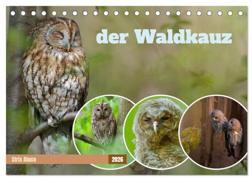 der Waldkauz - Strix Aluco (Tischkalender 2026 DIN A5 quer), CALVENDO Monatskalender: Eulen in ihrer natürlichen Umgebung, kombiniert mit Weisheiten und Zitaten. (CALVENDO Tiere)