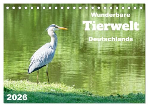 Wunderbare Tierwelt Deutschlands (Tischkalender 2026 DIN A5 quer), CALVENDO Monatskalender: Einzigartige Aufnahmen von wild lebenden Tieren in Deutschland. (CALVENDO Tiere)