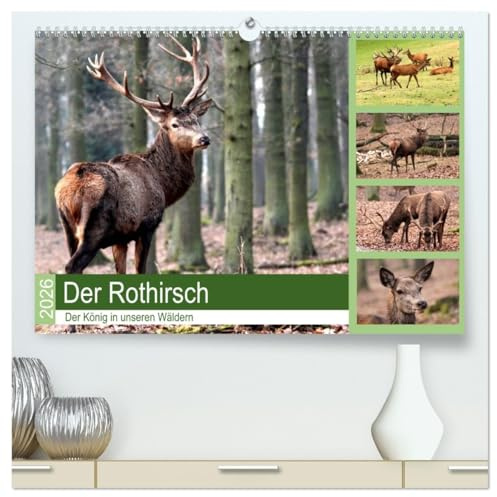 Der Rothirsch - Der König in unseren Wäldern (hochwertiger Premium Wandkalender 2026 DIN A2 quer), Kunstdruck in Hochglanz: Der Rothirsch ist wohl das ... Tier in unsern Wäldern (CALVENDO Tiere)