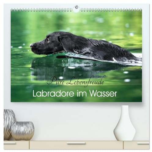 Labradore im Wasser (hochwertiger Premium Wandkalender 2026 DIN A2 quer), Kunstdruck in Hochglanz: Labbis in ihrem Element! Die Begeisterung dieser ... den Kalender zum Hingucker. (CALVENDO Tiere)