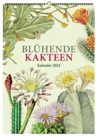 Blühende Kakteen. Wandkalender 2024: Zeichnungen von Toni Gürke