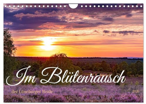 Im Blütenrausch der Lüneburger Heide (Wandkalender 2026 DIN A4 quer), CALVENDO Monatskalender: Die Hauptblüte ist Mitte August. (CALVENDO Natur)