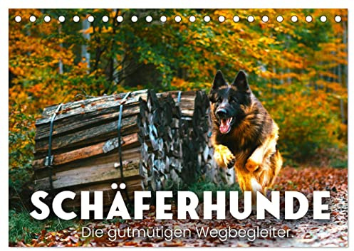 Schäferhunde - Die gutmütigen Wegbegleiter. (Tischkalender 2026 DIN A5 quer), CALVENDO Monatskalender: Wachsam und loyal. (CALVENDO Tiere)