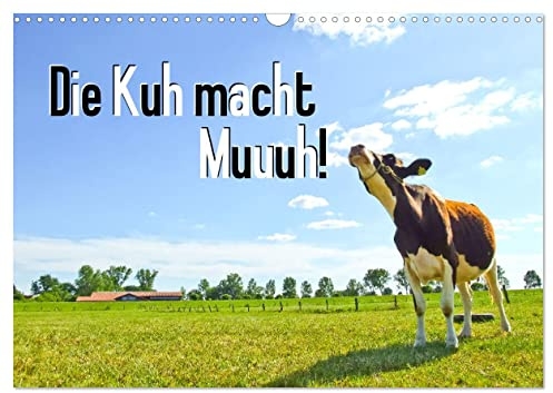Die Kuh macht Muuuh! (Wandkalender 2026 DIN A3 quer), CALVENDO Monatskalender: Glückliche Kühe auf Wiesen in Niedersachsen (CALVENDO Tiere)